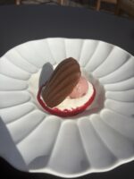 Crema di cocco,madeleine al cioccolato,perla al lampone